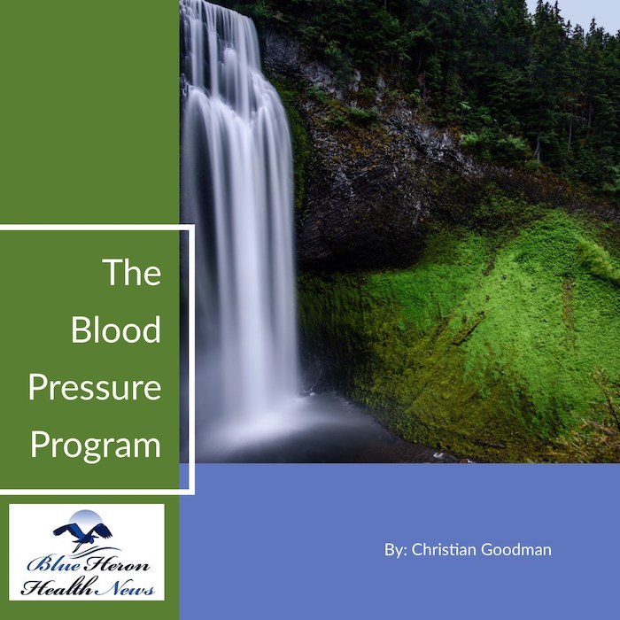 The High Blood Pressure Program